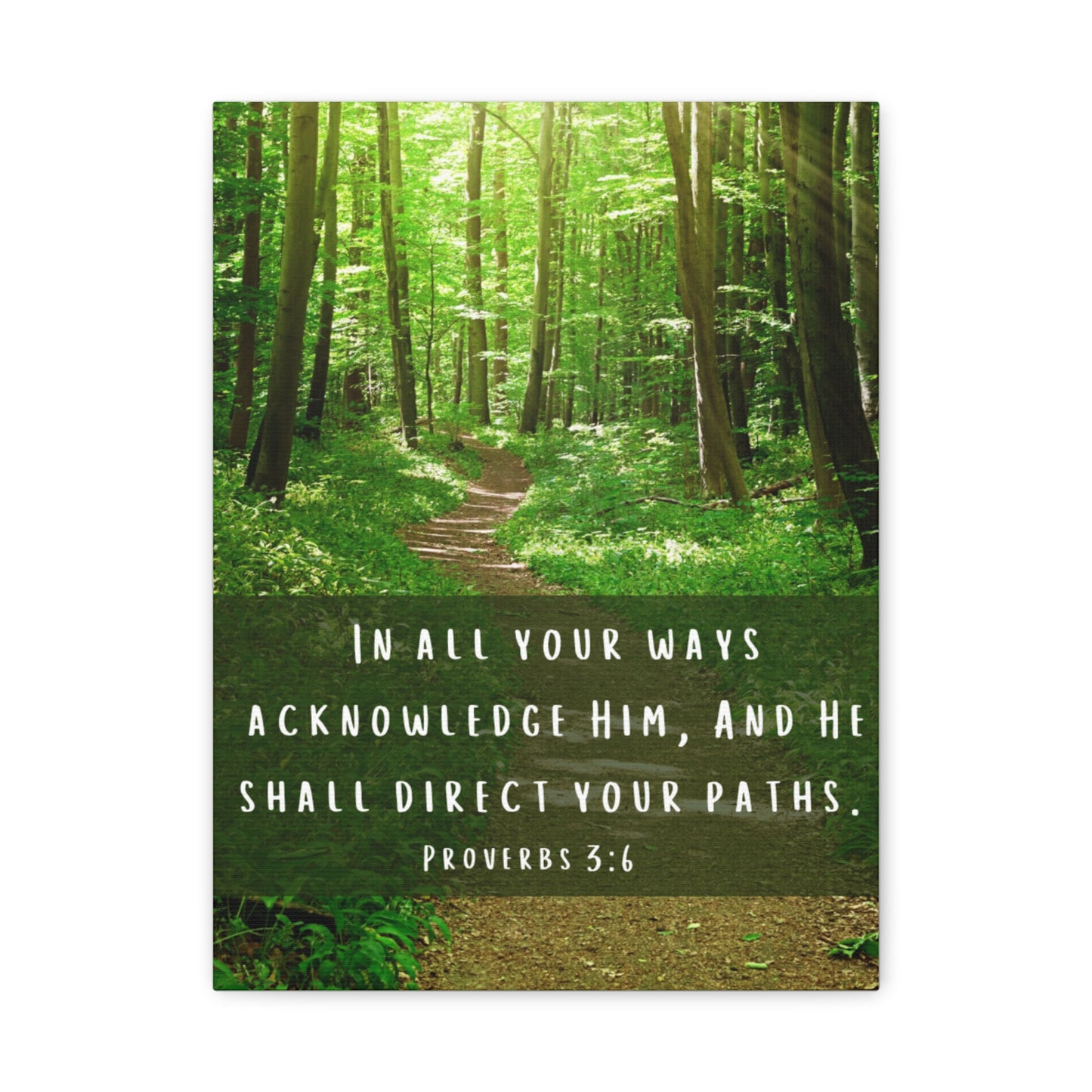He shall direct your paths Canvas